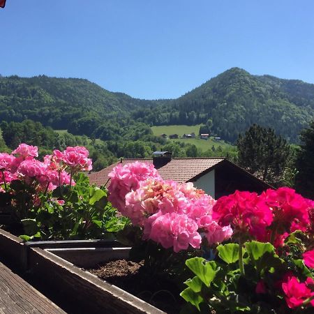 Ferienwohnungen Gaestehaus Sonnenkreis Ruhpolding Zewnętrze zdjęcie