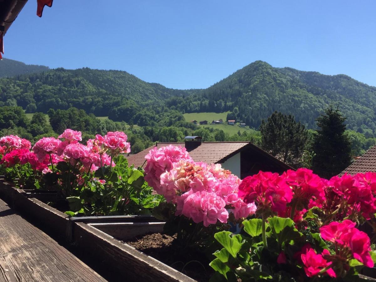 Ferienwohnungen Gaestehaus Sonnenkreis Ruhpolding Zewnętrze zdjęcie